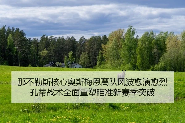 那不勒斯核心奥斯梅恩离队风波愈演愈烈 孔蒂战术全面重塑瞄准新赛季突破