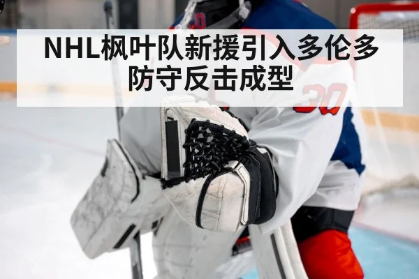 NHL枫叶队新援引入多伦多防守反击成型