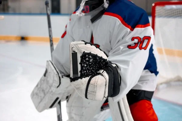 hockey goalie in net